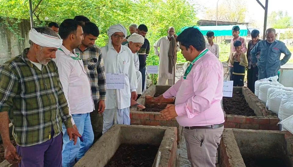किसानों को मल्टी लेयर फार्मिंग के प्रति जागरूक करते हुए फाउंडेशन के अधिकारी